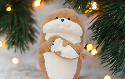 gau bong hai cau gau bong hai cau