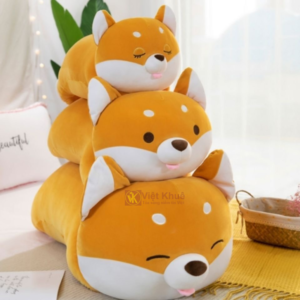 gau bong cho shiba
