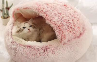 cat-11 cat-11
